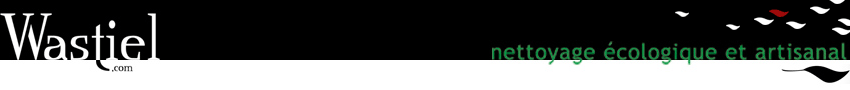 wastiel nettoyage